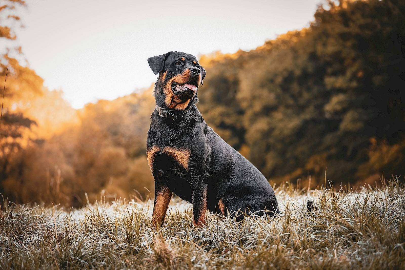 Foto: Kevin Seibel op Unsplash
